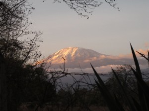 Er sky, men endelig fikk jeg bilde av nesten hele Kilimanjaro